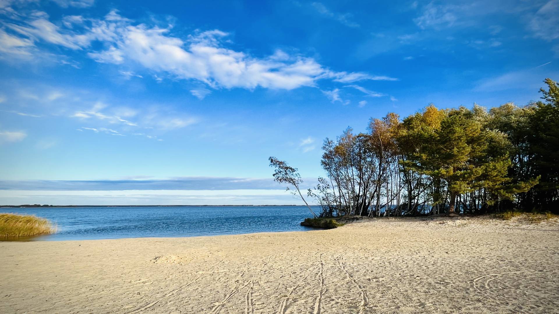 Strand und Boddenlandschaft bei Fuhlendorf